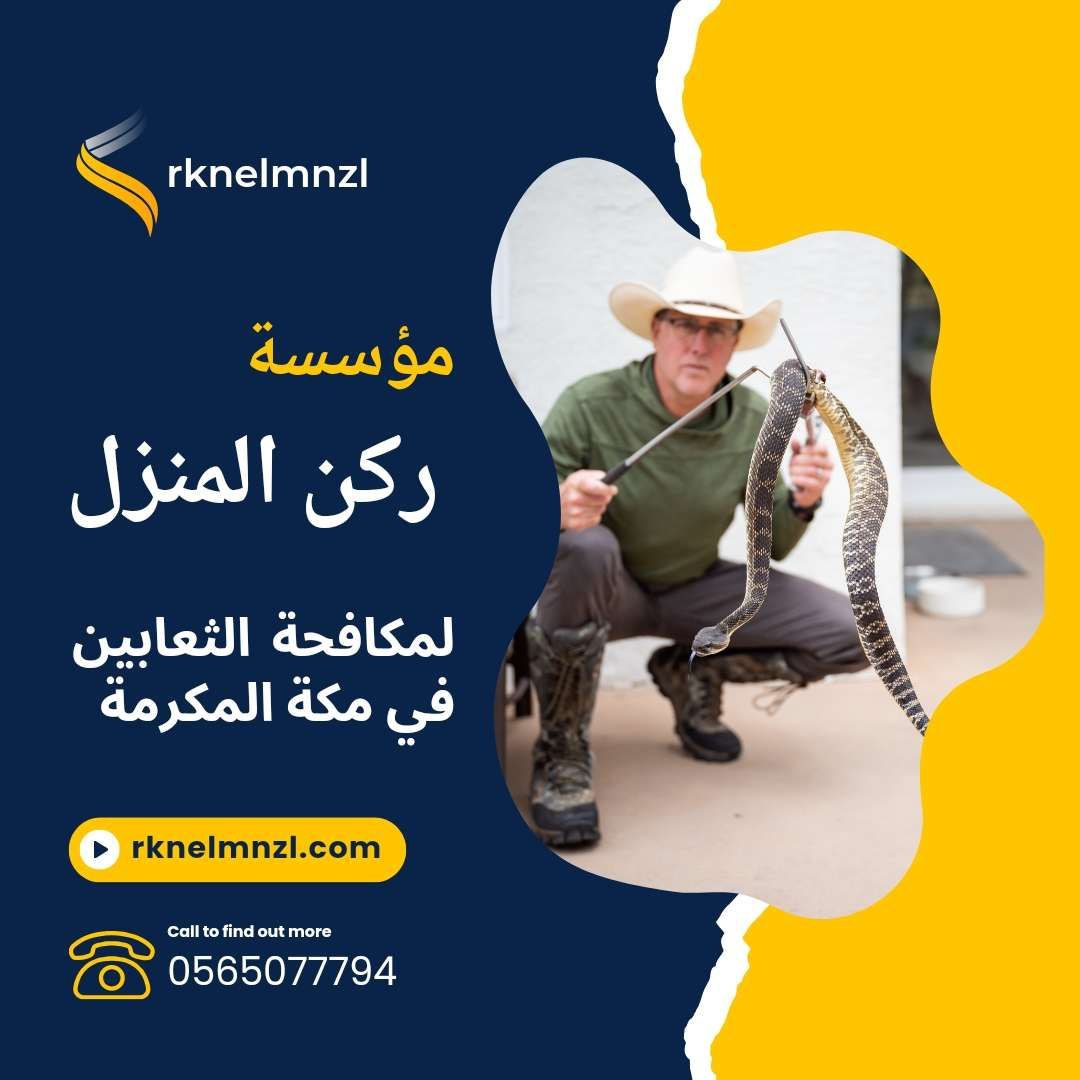 شركة مكافحة الثعابين بمكة